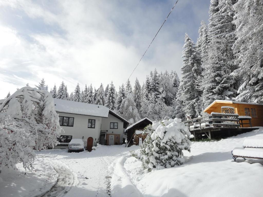 Ferienwohnung Ferienhaus Hollinger Verditz Exterior foto